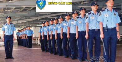 Baovehungcatloi.vn 4