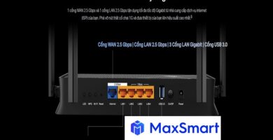 Maxsmart.vn 12
