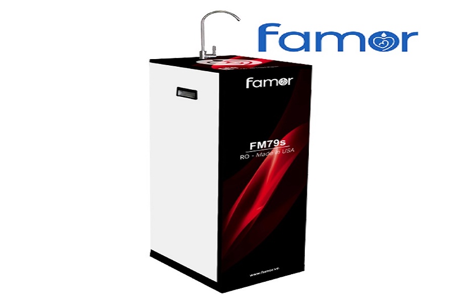 Famor.vn 3