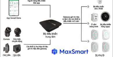 Maxsmart.vn 31