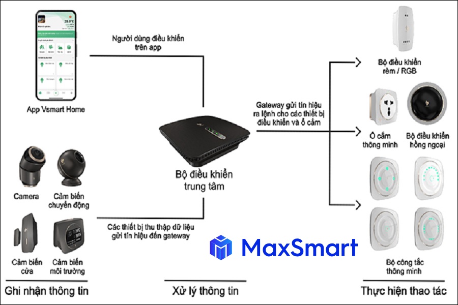 Maxsmart.vn 31