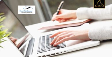 Cung cấp bài viết SEO