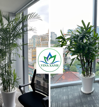 Vinaxanh.com 14