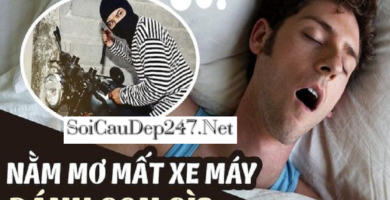 Giải Mã Mơ Thấy Mất Xe Máy Đánh Con Gì?