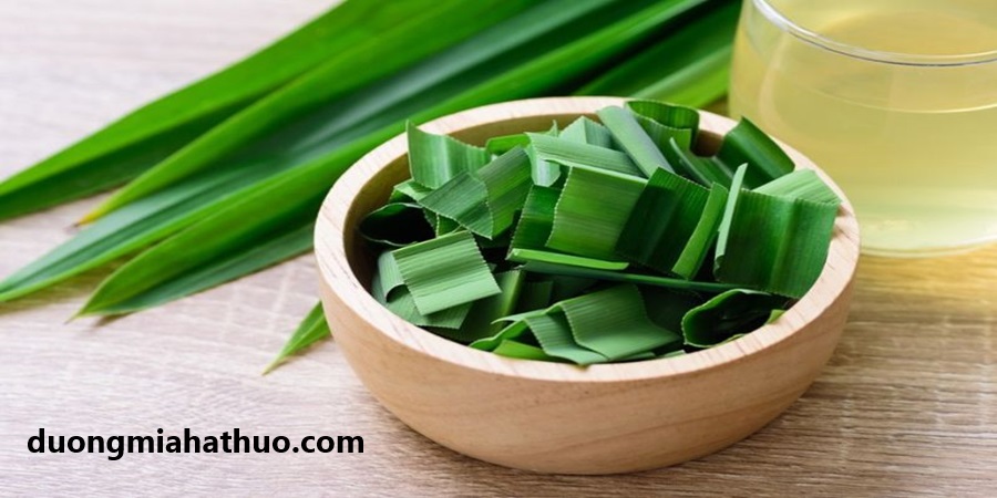 bệnh tiểu đường nên uống lá gì