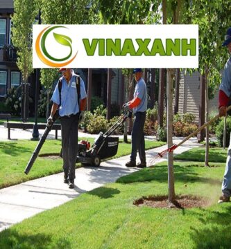 Dịch Vụ Chăm Sóc Cảnh Quan tại TP Hồ Chí Minh