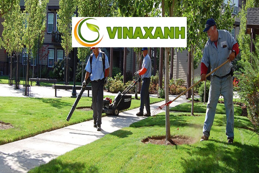 Dịch Vụ Chăm Sóc Cảnh Quan tại TP Hồ Chí Minh