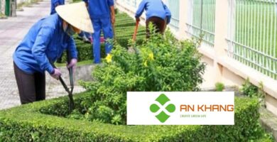 Dịch Vụ Chăm Sóc Cây Xanh Dĩ An Bình Dương