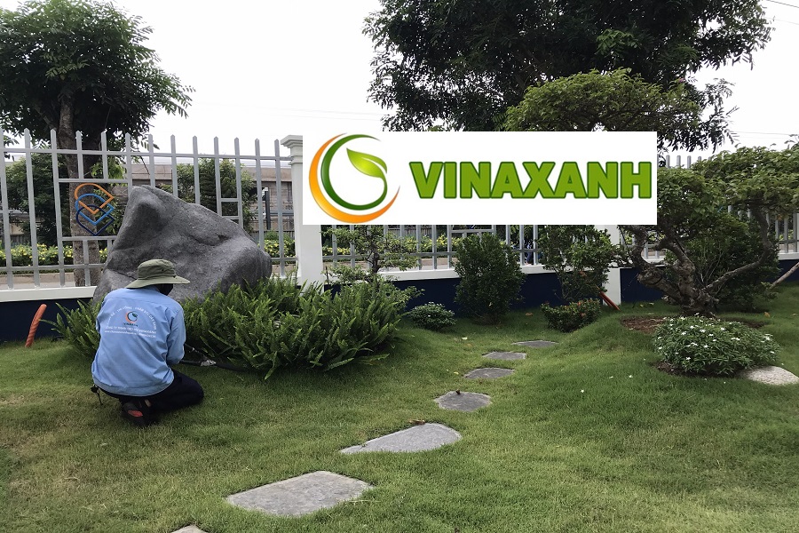 Chăm Sóc Cây Xanh Tại Quận 6 TP.HCM