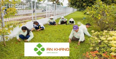 Chăm sóc cảnh quan tại KCN Dĩ An Bình Dương