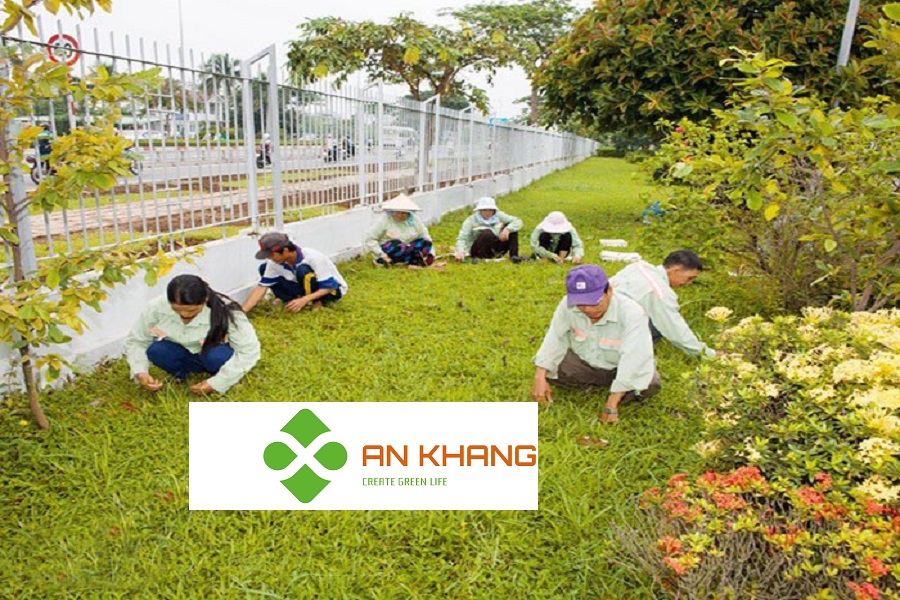 Chăm sóc cảnh quan tại KCN Dĩ An Bình Dương