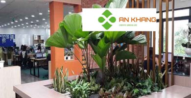 Dịch Vụ Cho Thuê Cây Văn Phòng Tại Bến Cát Bình Dương