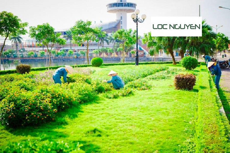 Giới Thiệu Công Ty Chăm Sóc Cây Xanh Tại Long An