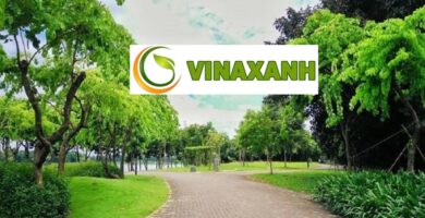 Cung Cấp Cây Xanh Tại TPHCM