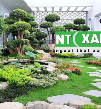 Giới Thiệu Dịch Vụ Trồng Cây Cảnh Tại Châu Thành Long An