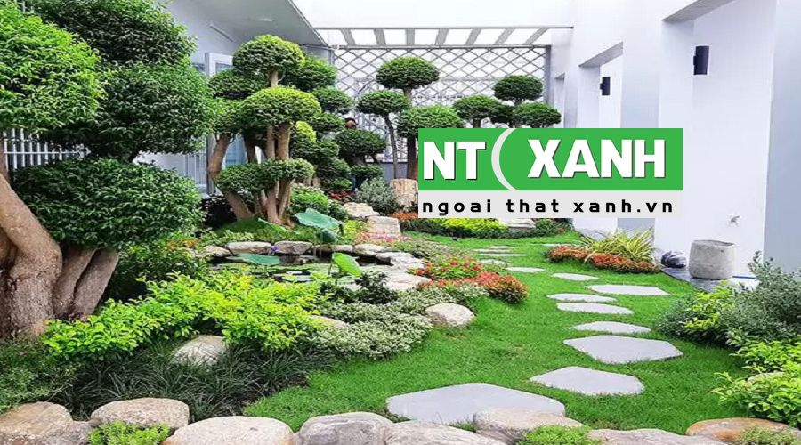 Giới Thiệu Dịch Vụ Trồng Cây Cảnh Tại Châu Thành Long An