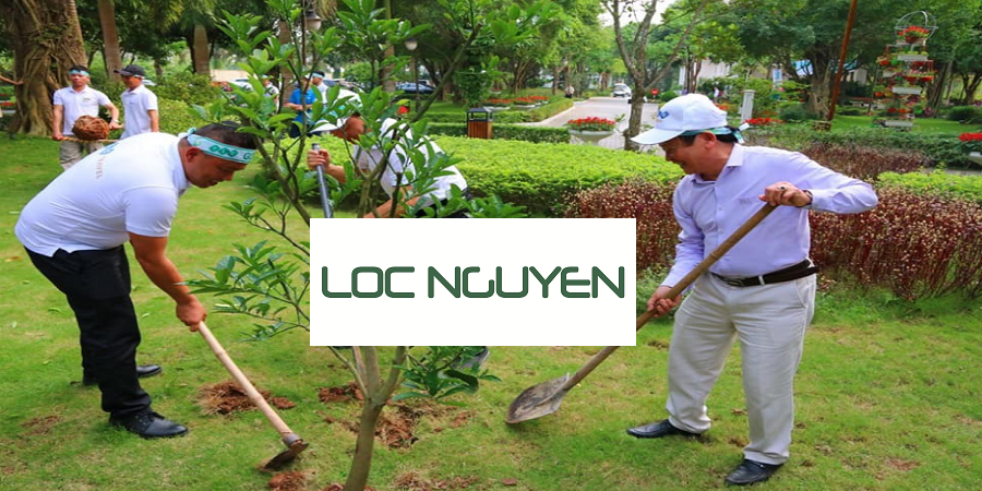 Giới Thiệu Dịch Vụ Trồng Cây Xanh Tại Long An