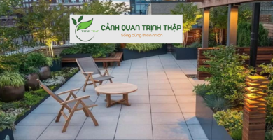 Dịch Vụ Thi Công Sân Vườn Tại Hà Nội