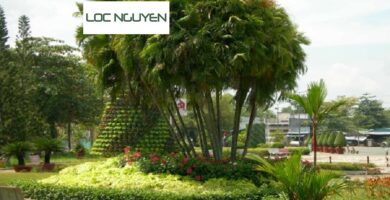Dịch Vụ Thiết Kế Công Trình Cây Xanh Bến Lức Long An