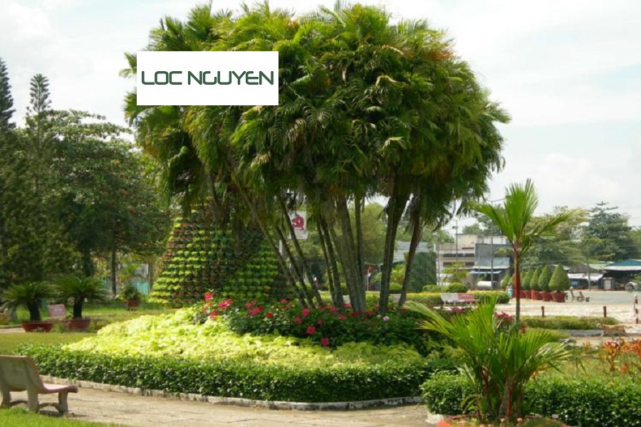 Dịch Vụ Thiết Kế Công Trình Cây Xanh Bến Lức Long An