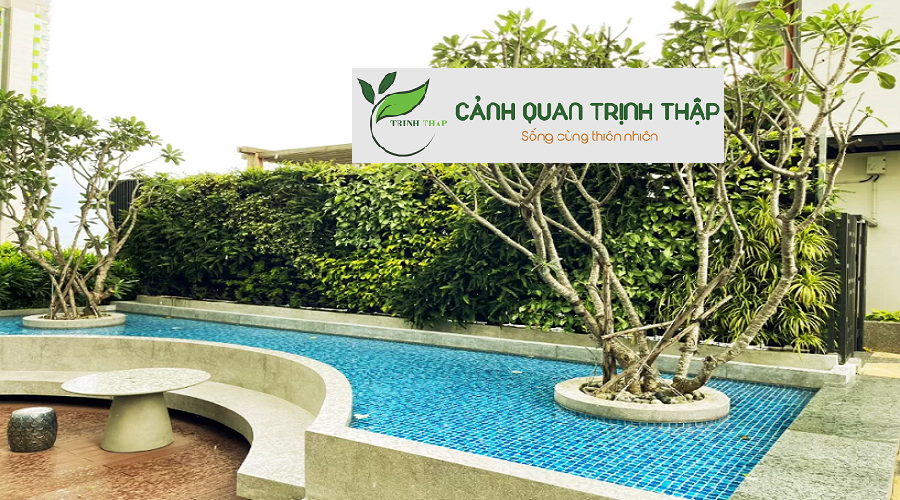 Thiết Kế Tiểu Cảnh Sân Vườn Tại Hoàng Mai Hà Nội