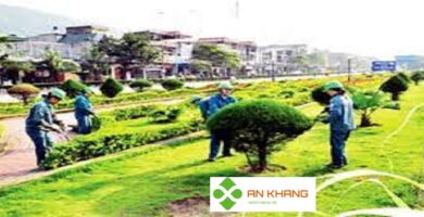 Cayphongthuy.com.vn 5