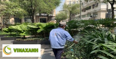 Chăm Sóc Cảnh Quan Quận 1 Tp.hcm