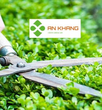 Chăm Sóc Cây Xanh Tại Kcn Vsip