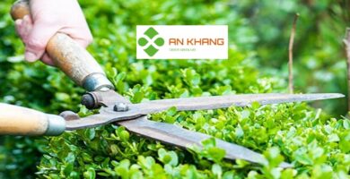 Chăm Sóc Cây Xanh Tại Kcn Vsip