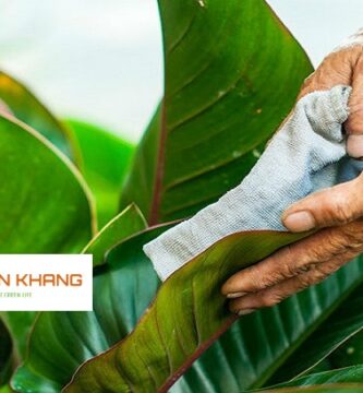Chăm Sóc Cây Xanh Tại Kcn Vsip