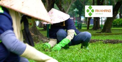 Chăm Sóc Cây Xanh Kcn Bình Dương