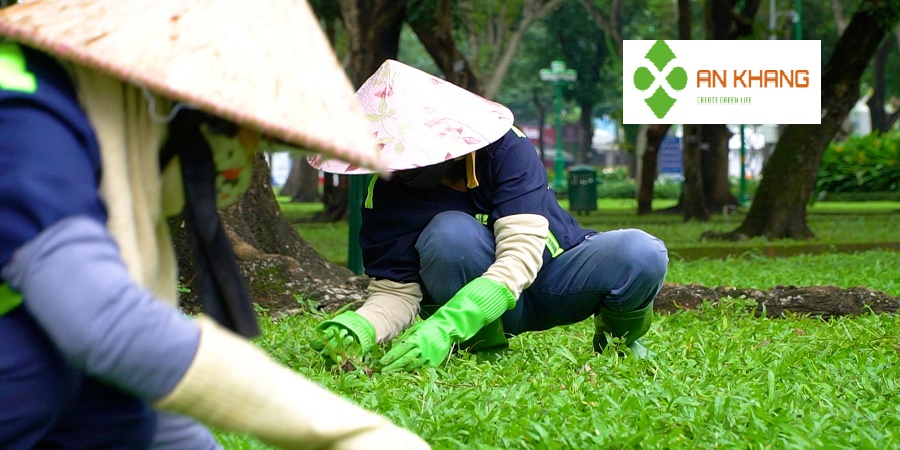 Chăm Sóc Cây Xanh Kcn Bình Dương