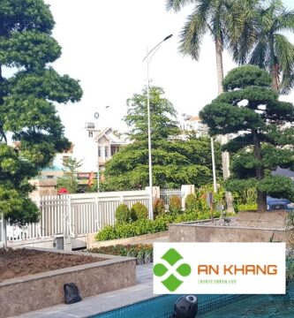 Chăm Sóc Cây Xanh Tại Bình Dương