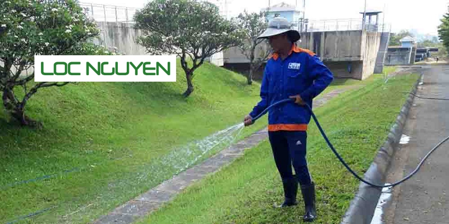 Tìm Hiểu Công Ty Chăm Sóc Cây Xanh Long An