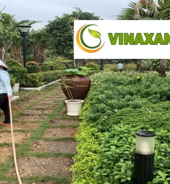 Cung Cấp Cây Xanh Tại Tp.hcm