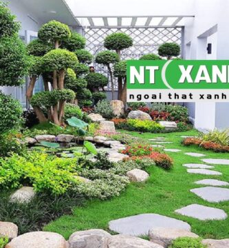Giới Thiệu Dịch Vụ Trồng Cây Cảnh Tại TPHCM