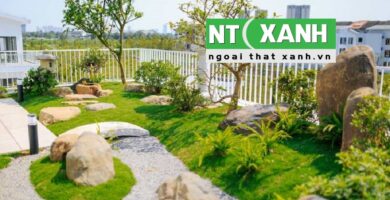 Dịch Vụ Trồng Cây Cảnh Tại Tây Ninh