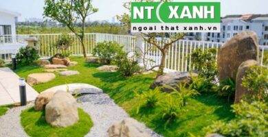 Dịch Vụ Trồng Cây Xanh Tại Bến Lức Long An