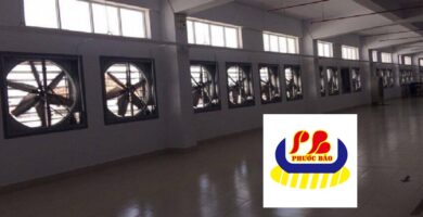 Giới Thiệu Quạt Thông Gió Tại Phú Giáo Bình Dương