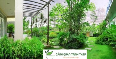 Thi Công Sân Vườn Tại Hà Nội