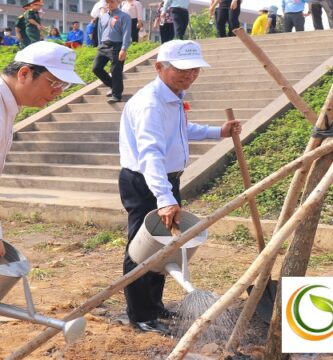 Trồng Cây Xanh Tại Quận 4 Tphcm