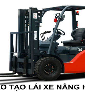 Đào Tạo An Toàn Xe Nâng Tại Bình Dương