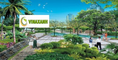 Dịch Vụ Chăm Sóc Cây Xanh Tại Dĩ An Bình Dương