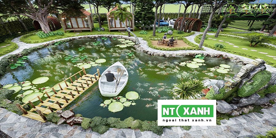 Dịch Vụ Trồng Cây Cảnh Tại Trảng Bàng Tây Ninh