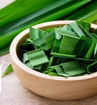Tiểu đường nên uống lá gì?