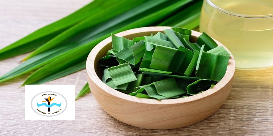Tiểu đường nên uống lá gì?