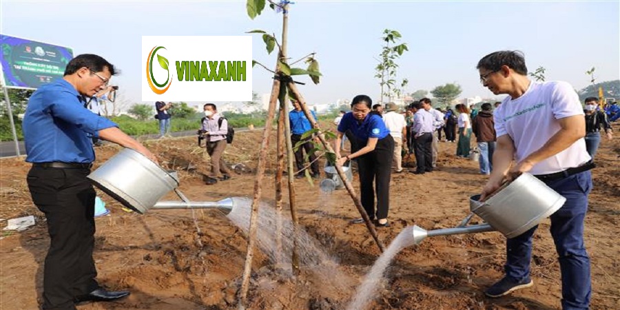 Trồng Cây Xanh Tphcm