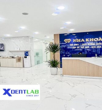 Vietnam Dental Laboratories District 2 Ho Chi Minh City
