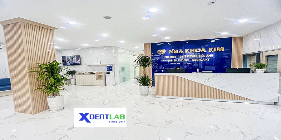 Vietnam Dental Laboratories District 2 Ho Chi Minh City