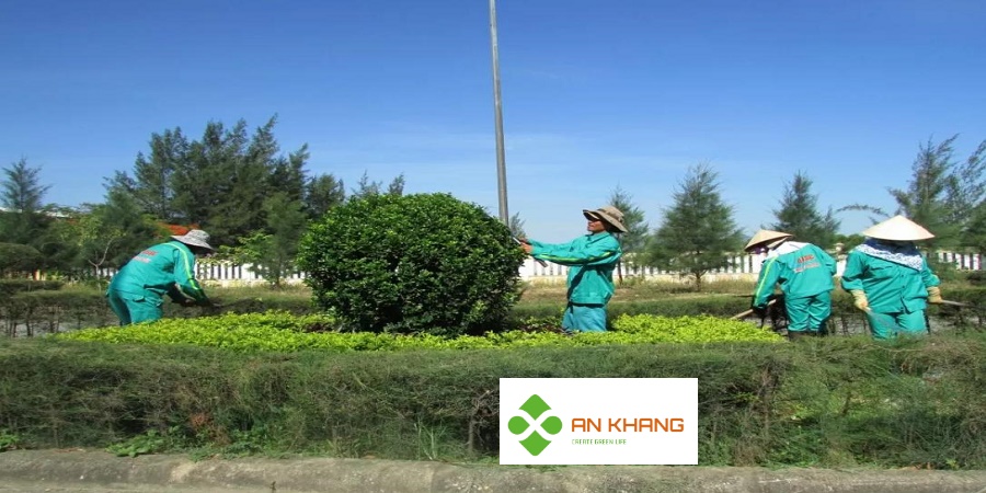 Chăm Sóc Cây Xanh Tại Kcn Đồng An 2